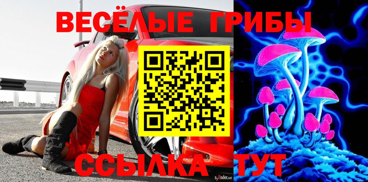 Галлюциногенные грибы прущие грибы Ярцево